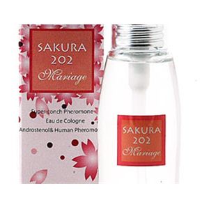 SAKURAQOQ