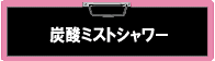 �Y�_�~�X�g�V�����[