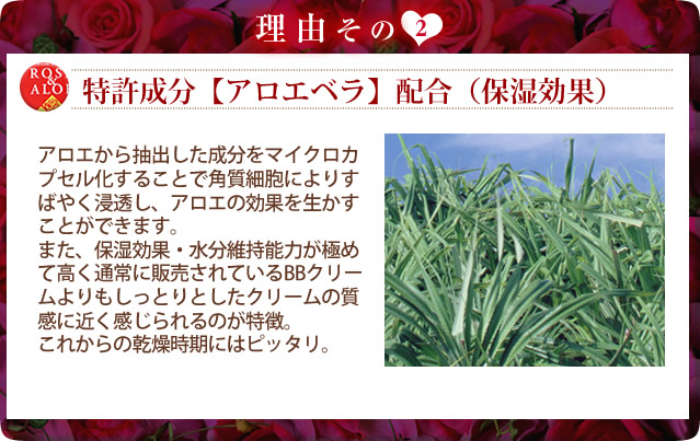 アロエベラ配合